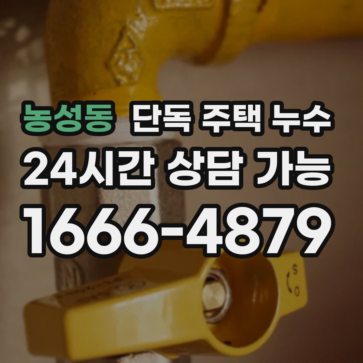 농성동 단독 주택 누수