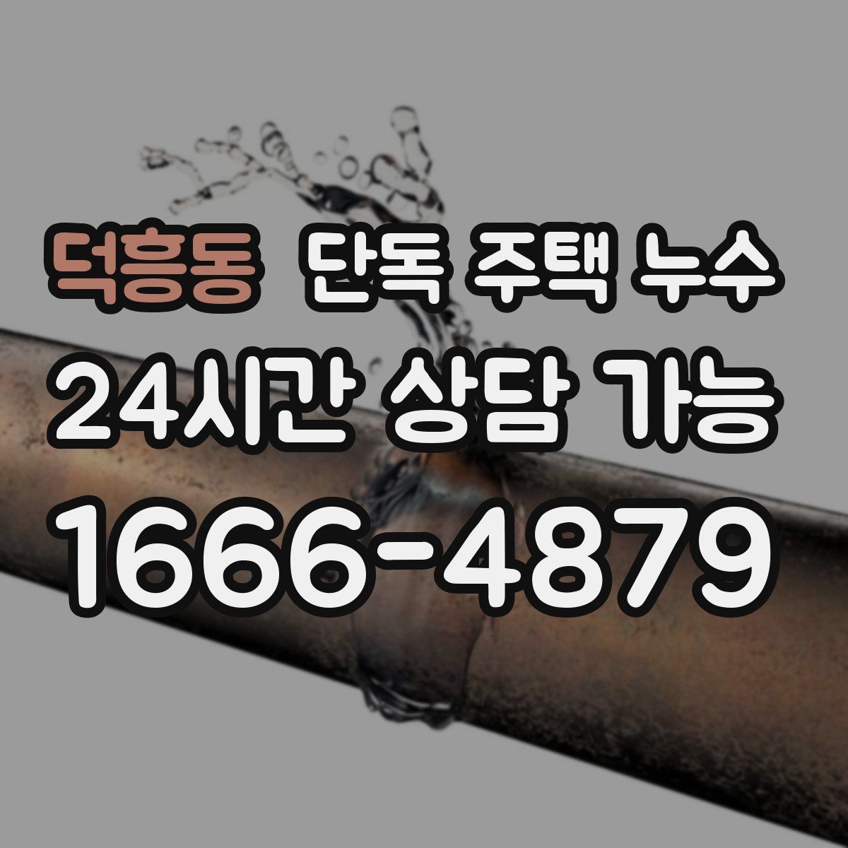 덕흥동 단독 주택 누수