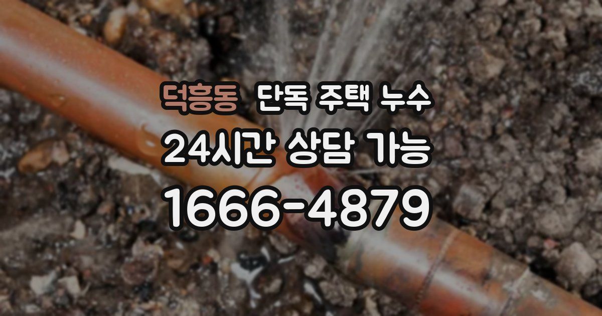 덕흥동 단독 주택 누수