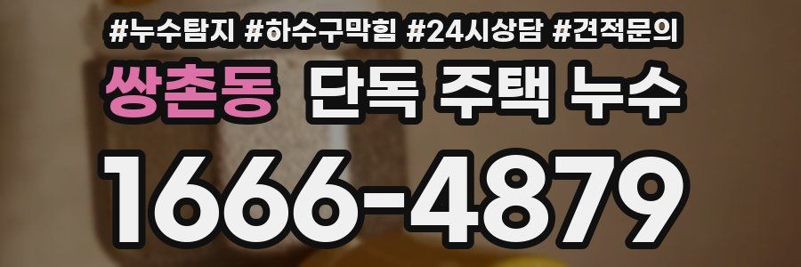 쌍촌동 단독 주택 누수