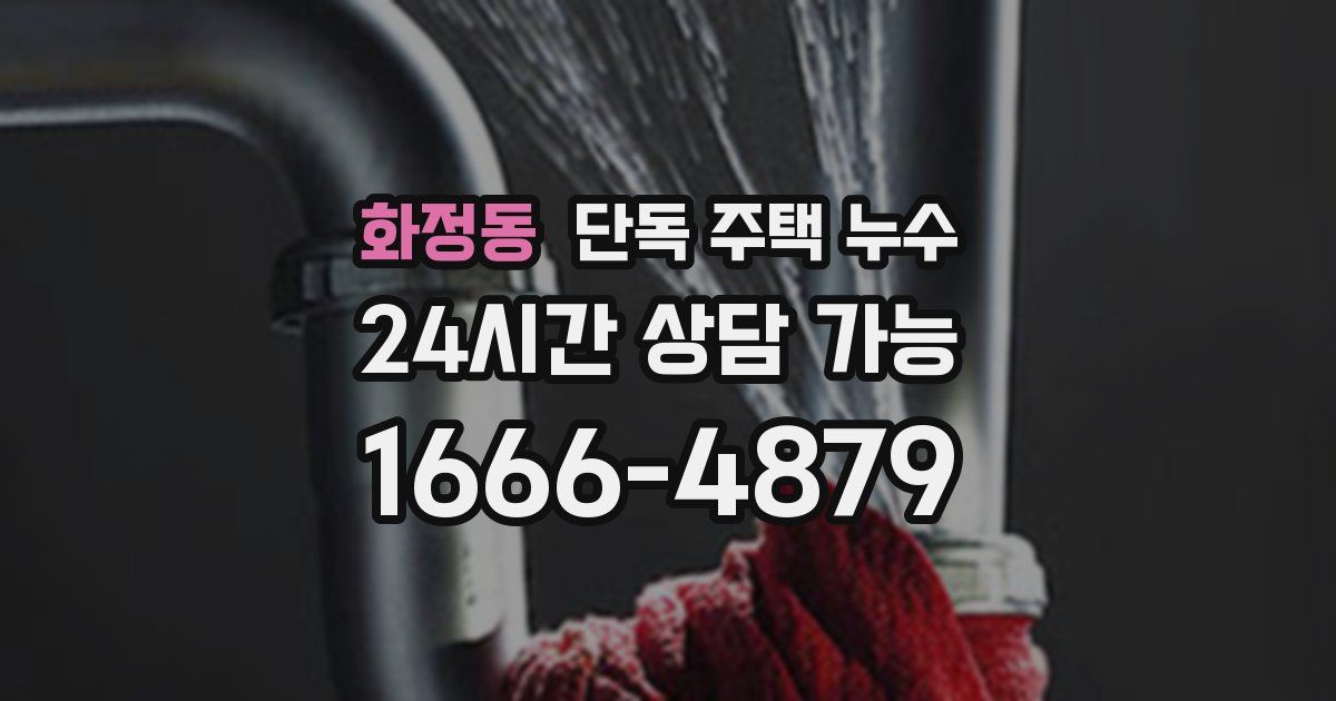 화정동 단독 주택 누수