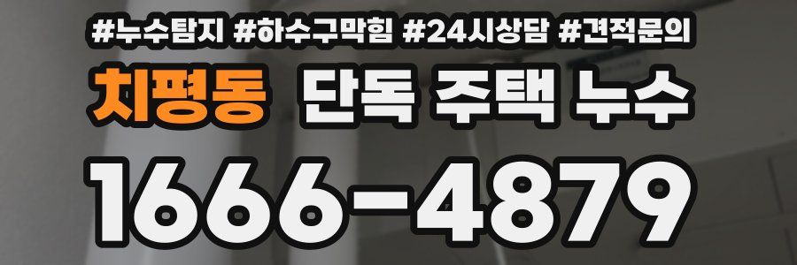 치평동 단독 주택 누수