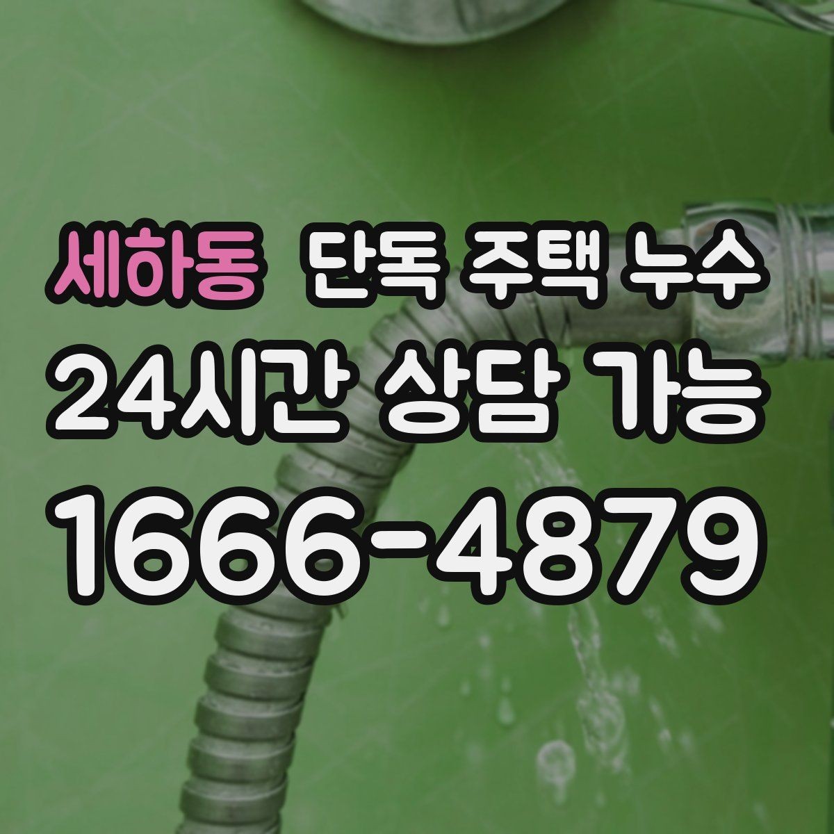 세하동 단독 주택 누수 점검 순서만 알아도 재발 가능성이 줄어든다