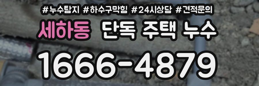 세하동 단독 주택 누수