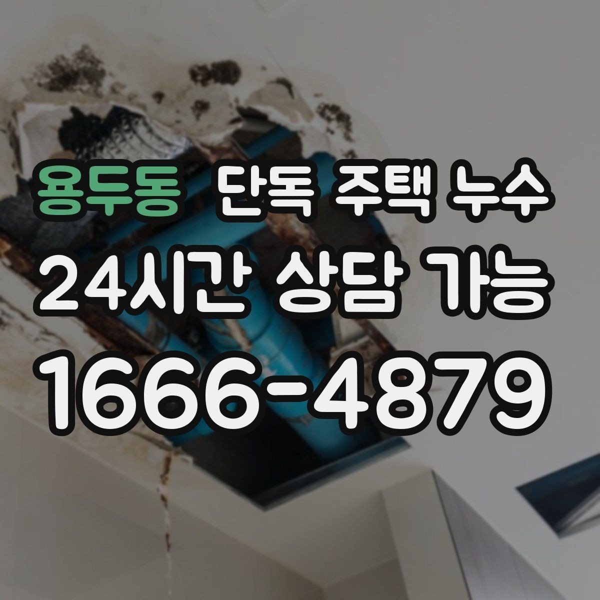 용두동 단독 주택 누수 처마 아래 물자국이 보이면 의심할 것