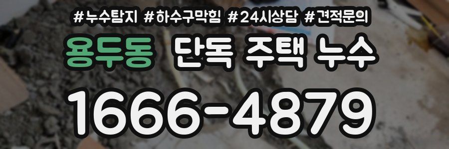 용두동 단독 주택 누수