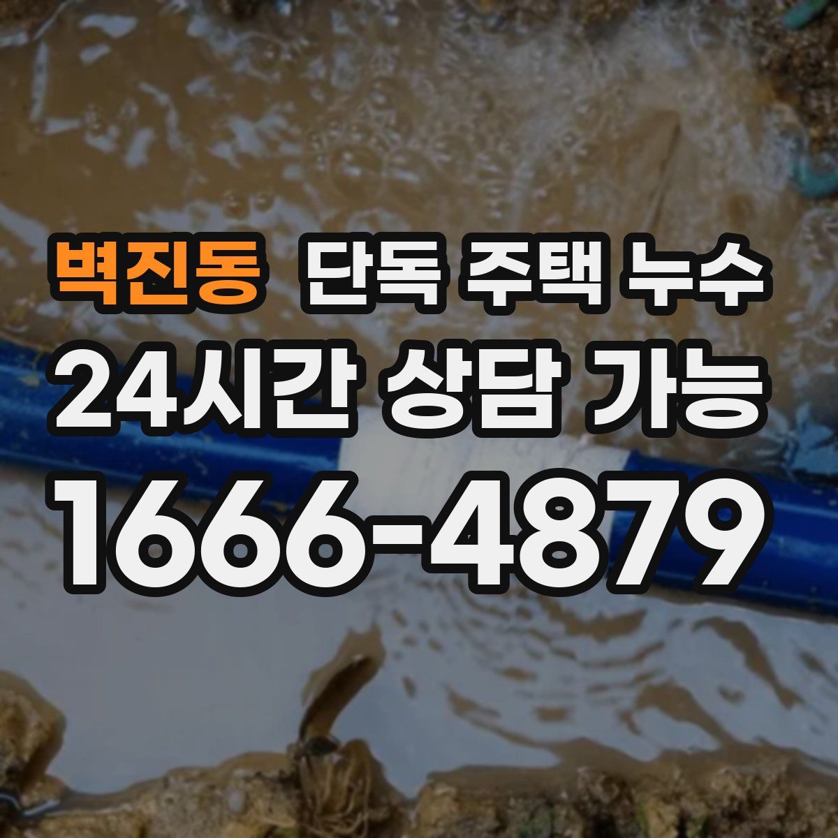 벽진동 단독 주택 누수