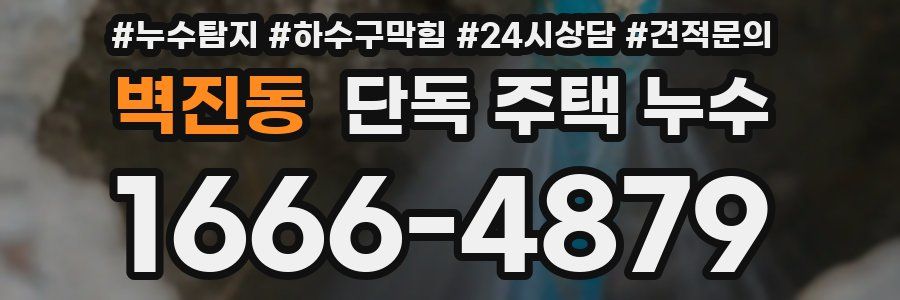 벽진동 단독 주택 누수