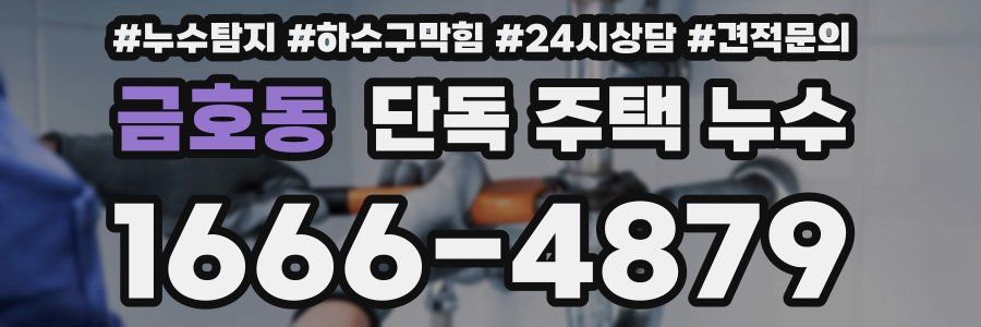 금호동 단독 주택 누수