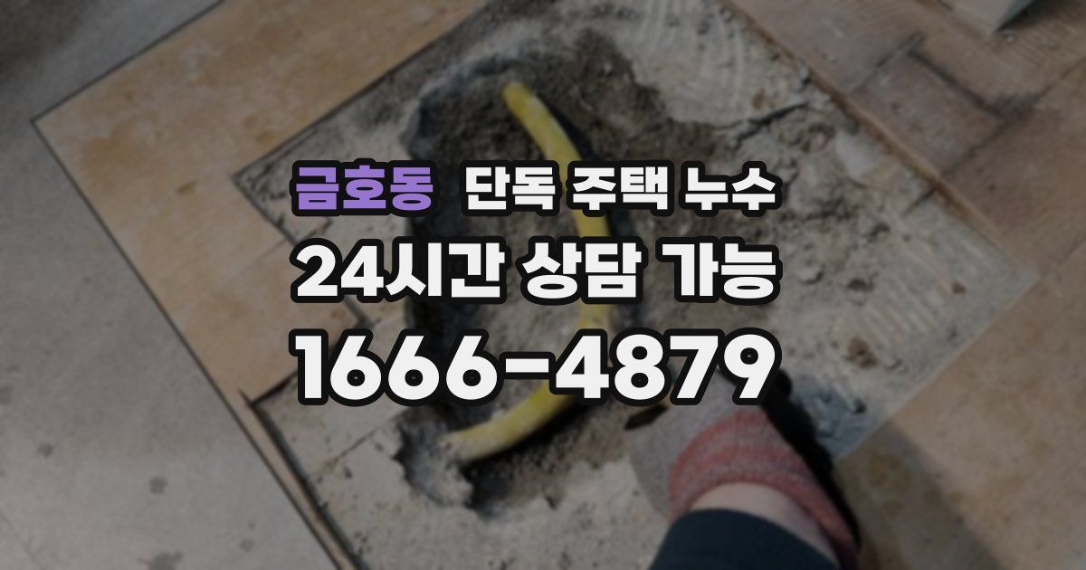 금호동 단독 주택 누수