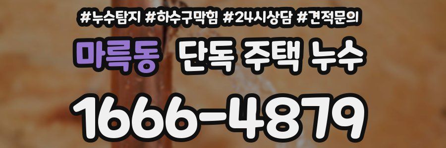 마륵동 단독 주택 누수