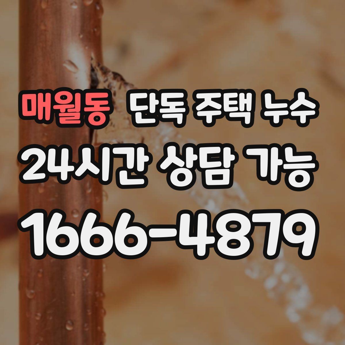 매월동 단독 주택 누수 빗물받이 주변 점검해야 하는 이유