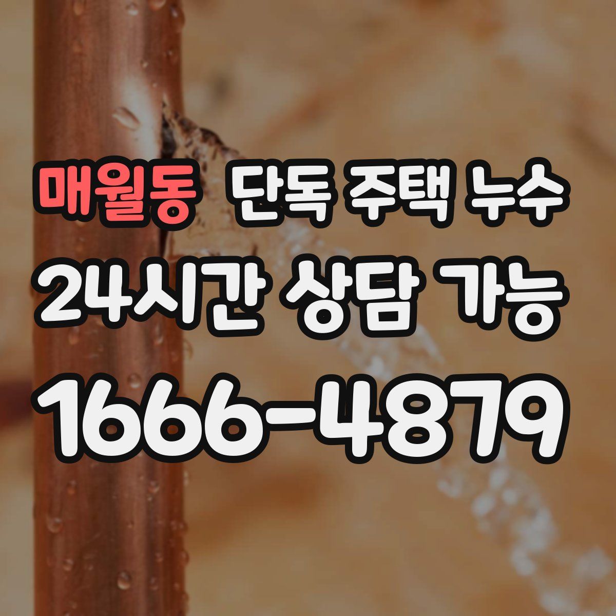 매월동 단독 주택 누수