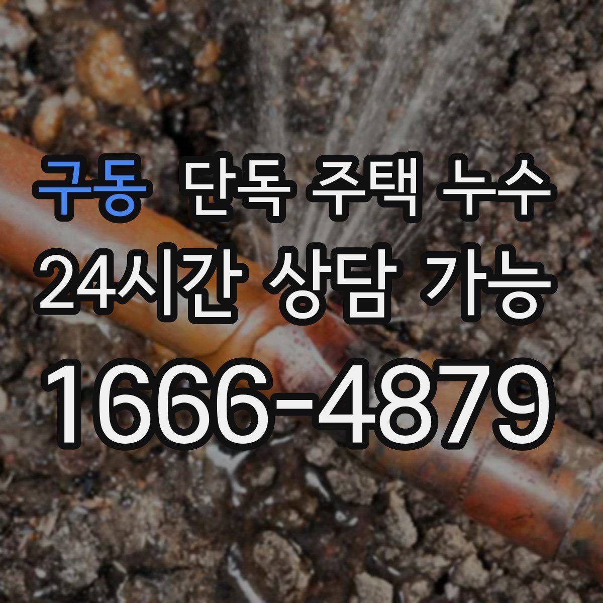 구동 단독 주택 누수 거실만 젖는다면 지붕 가능성부터 점검