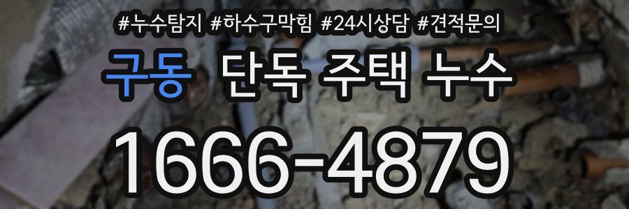 구동 단독 주택 누수