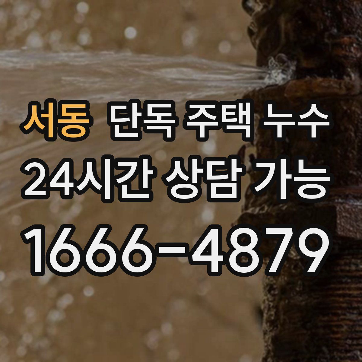 서동 단독 주택 누수