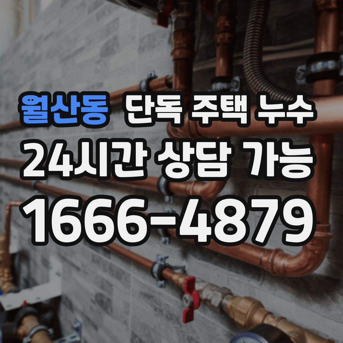 월산동 단독 주택 누수