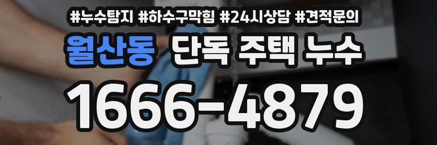 월산동 단독 주택 누수
