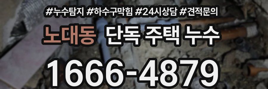 노대동 단독 주택 누수