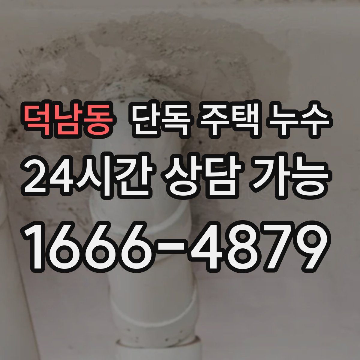 덕남동 단독 주택 누수