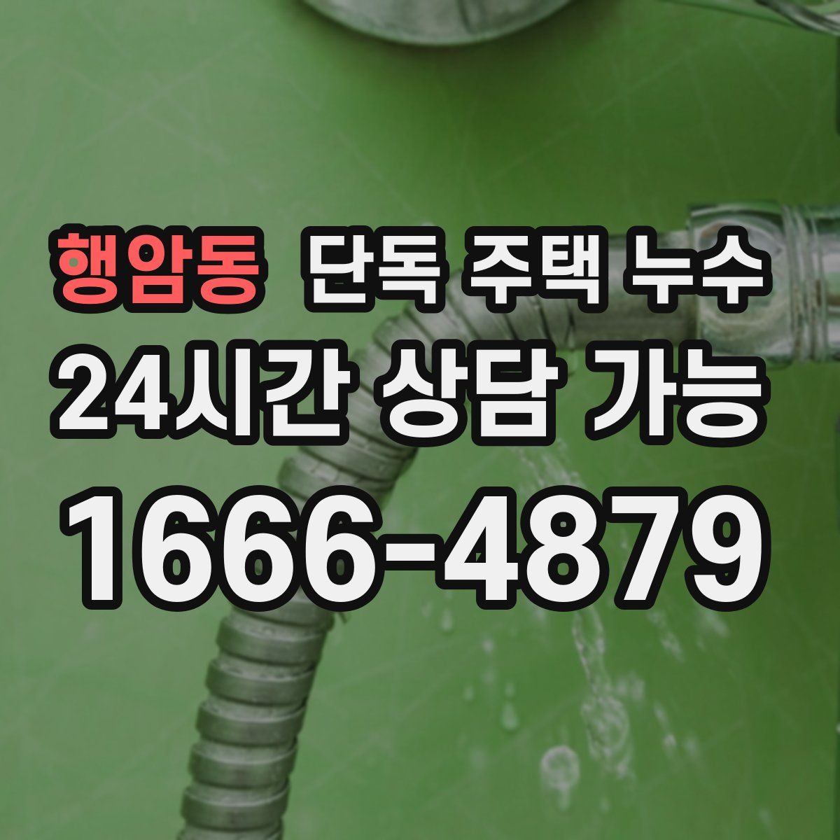 행암동 단독 주택 누수