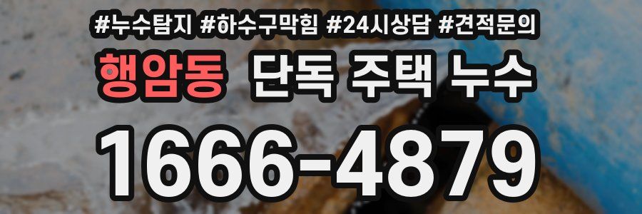 행암동 단독 주택 누수