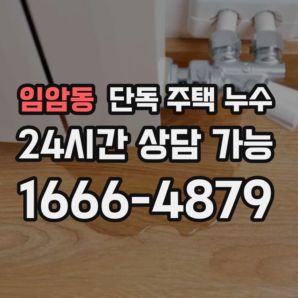 임암동 단독 주택 누수 비바람에 취약한 집의 공통 포인트