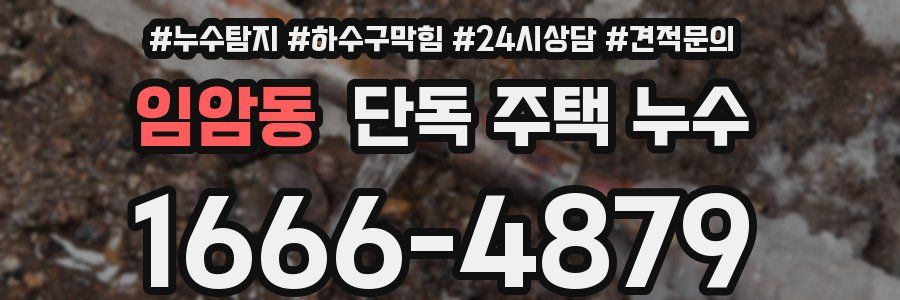 임암동 단독 주택 누수