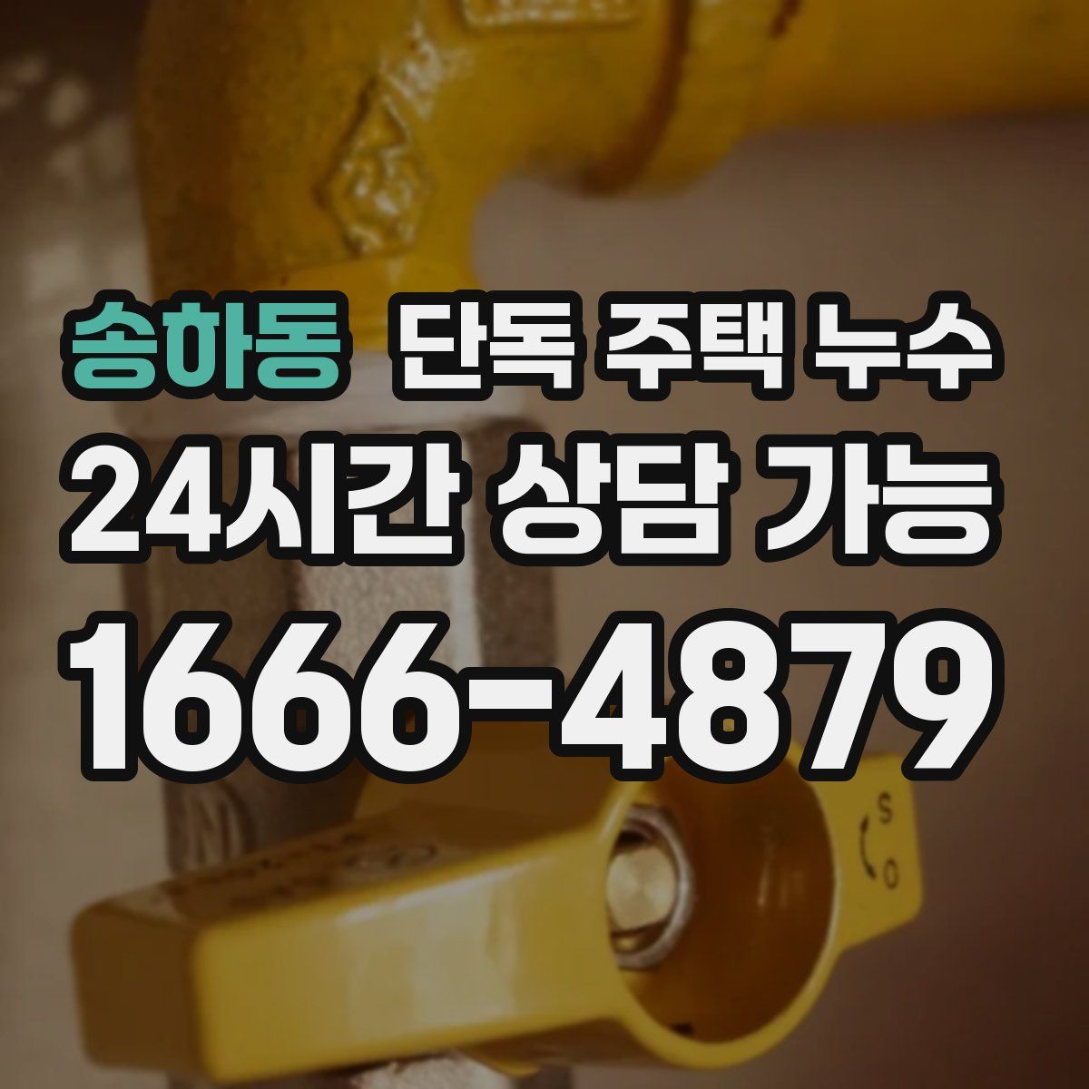 송하동 단독 주택 누수