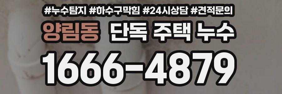 양림동 단독 주택 누수
