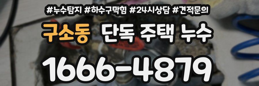 구소동 단독 주택 누수