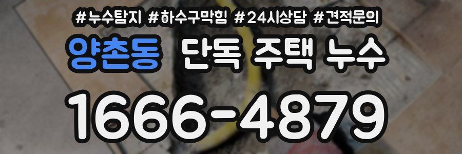 양촌동 단독 주택 누수