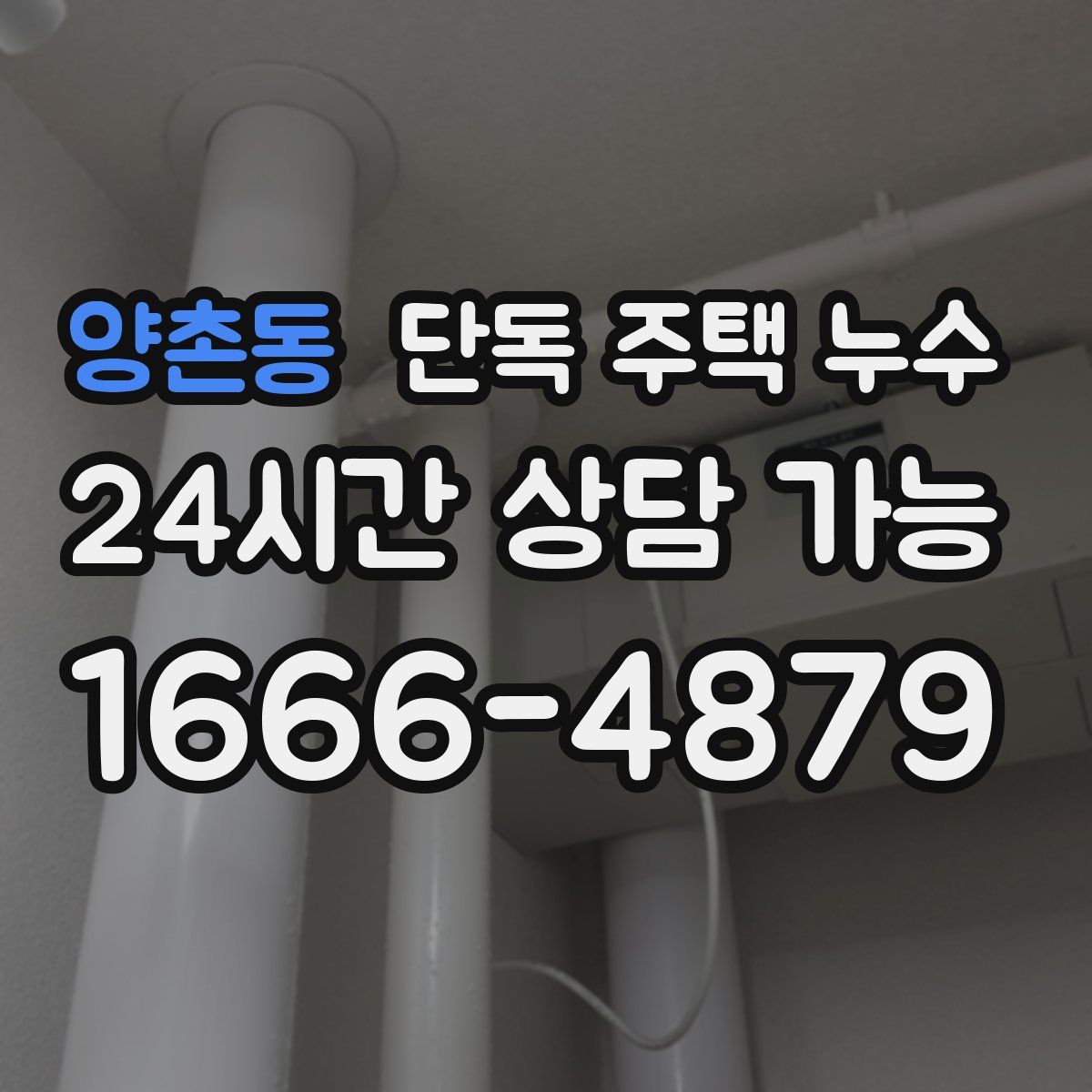 양촌동 단독 주택 누수