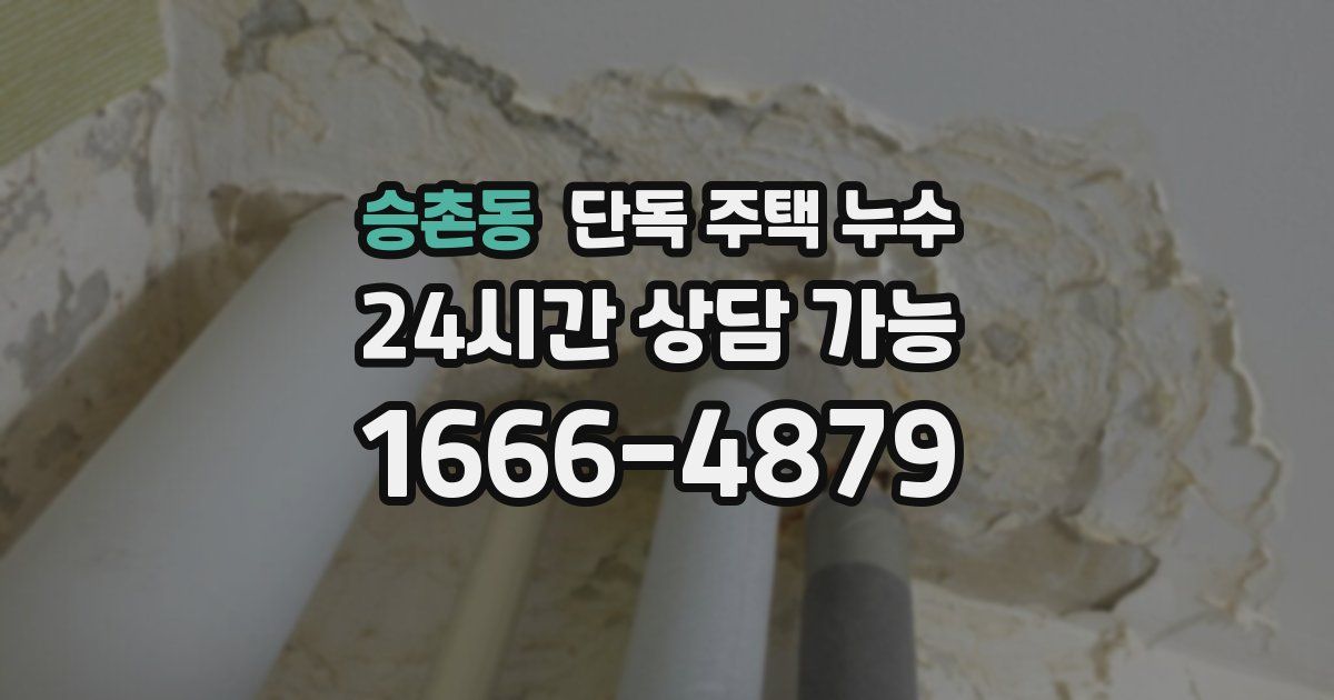 승촌동 단독 주택 누수