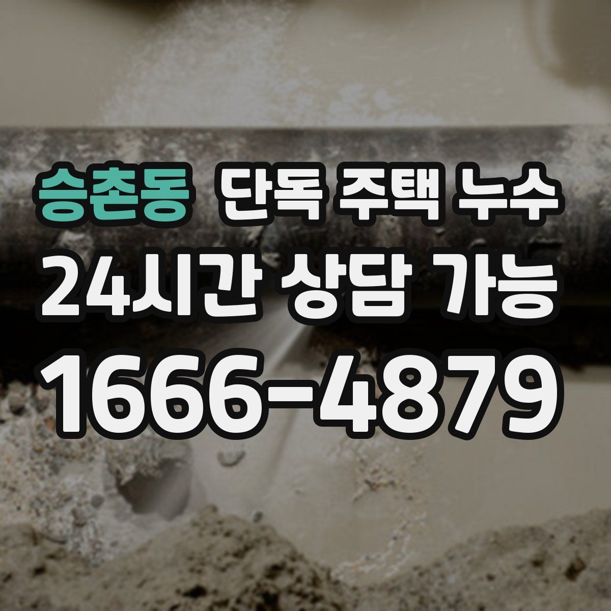 승촌동 단독 주택 누수