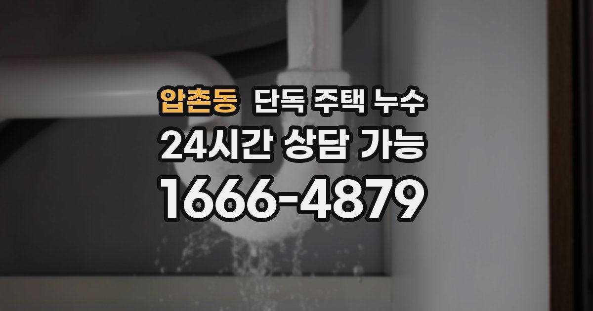 압촌동 단독 주택 누수