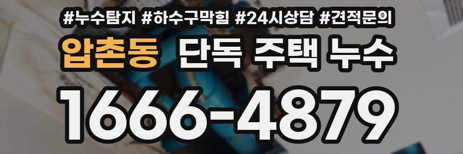 압촌동 단독 주택 누수