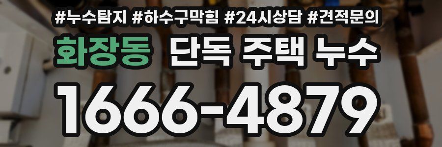 화장동 단독 주택 누수