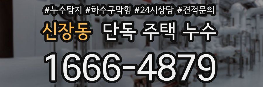 신장동 단독 주택 누수