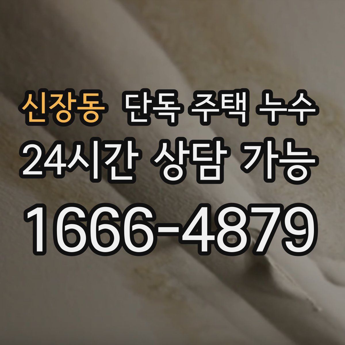 신장동 단독 주택 누수