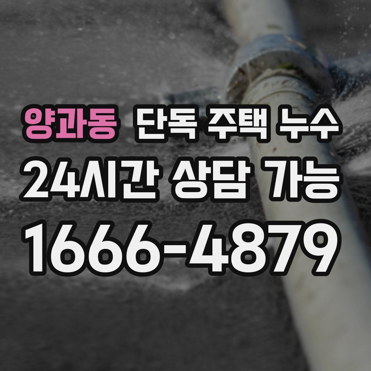 양과동 단독 주택 누수 외벽 균열이 작은데도 물이 스며드는 경우