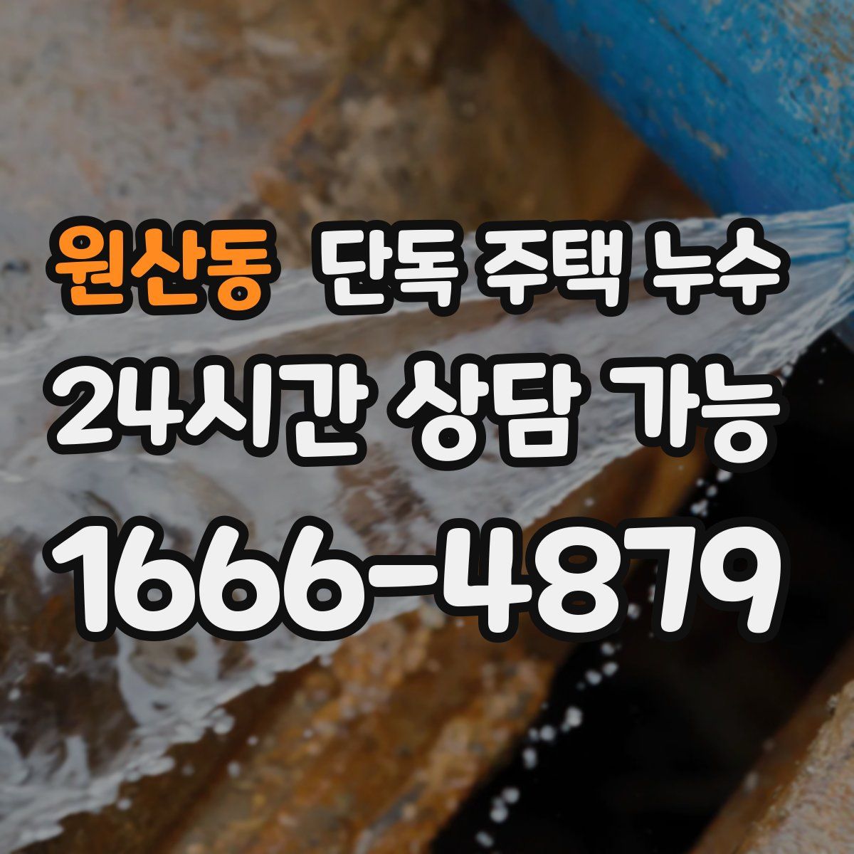 원산동 단독 주택 누수