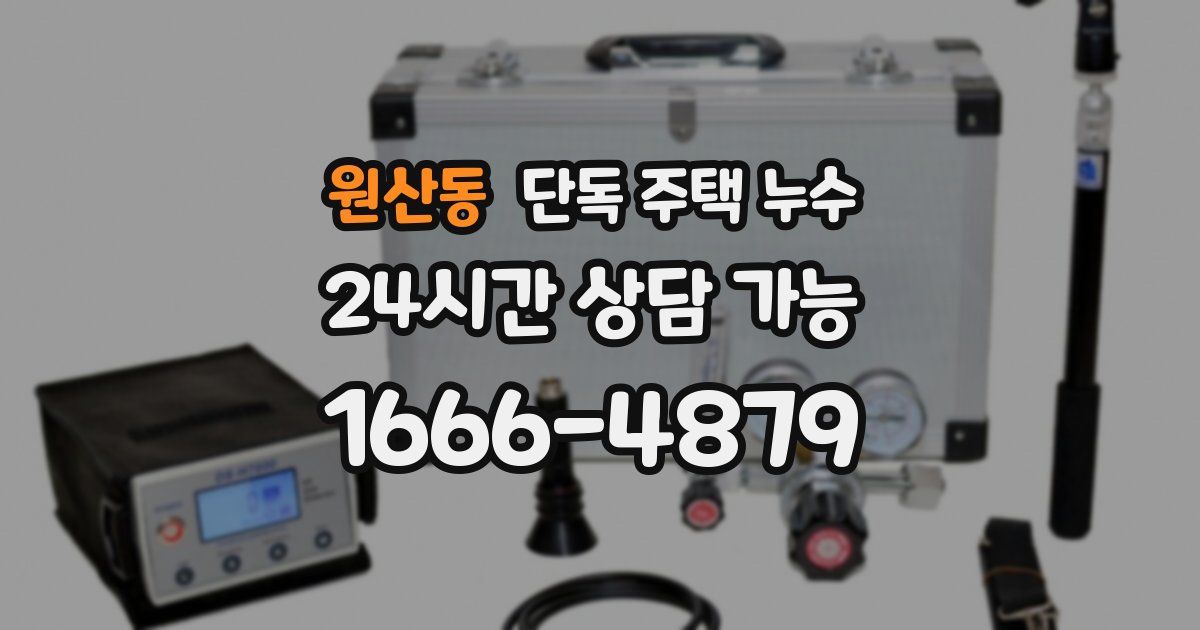 원산동 단독 주택 누수
