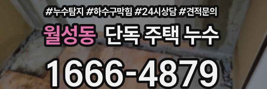 월성동 단독 주택 누수