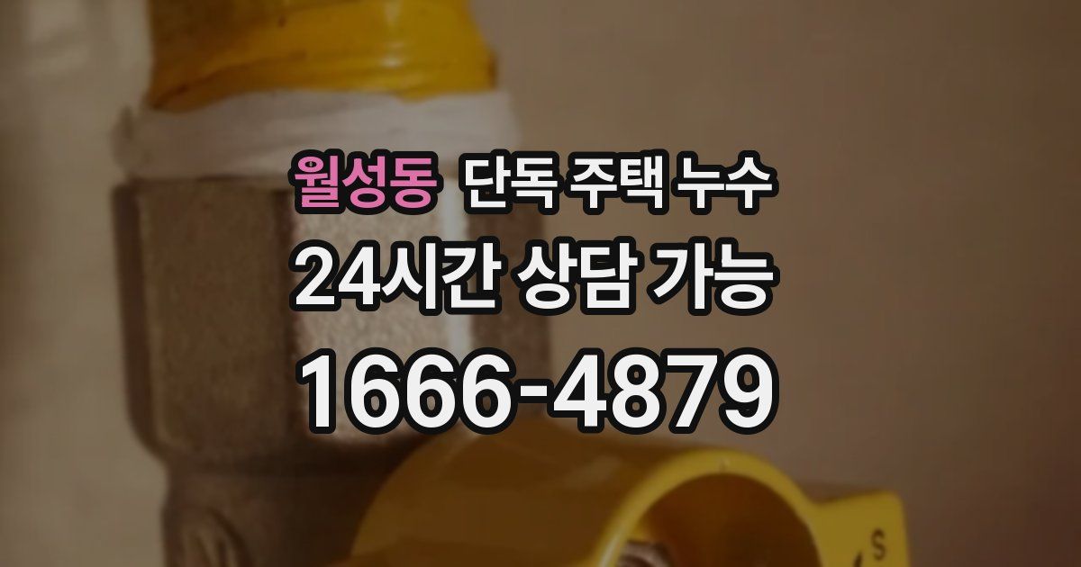 월성동 단독 주택 누수