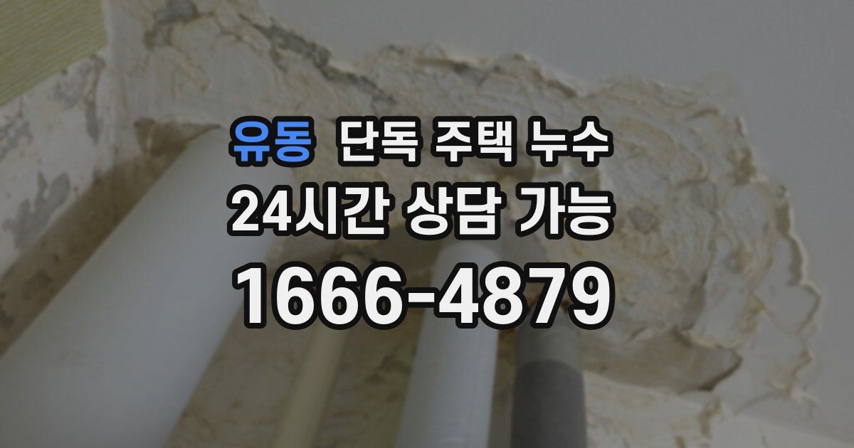 유동 단독 주택 누수