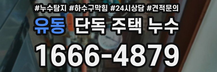 유동 단독 주택 누수