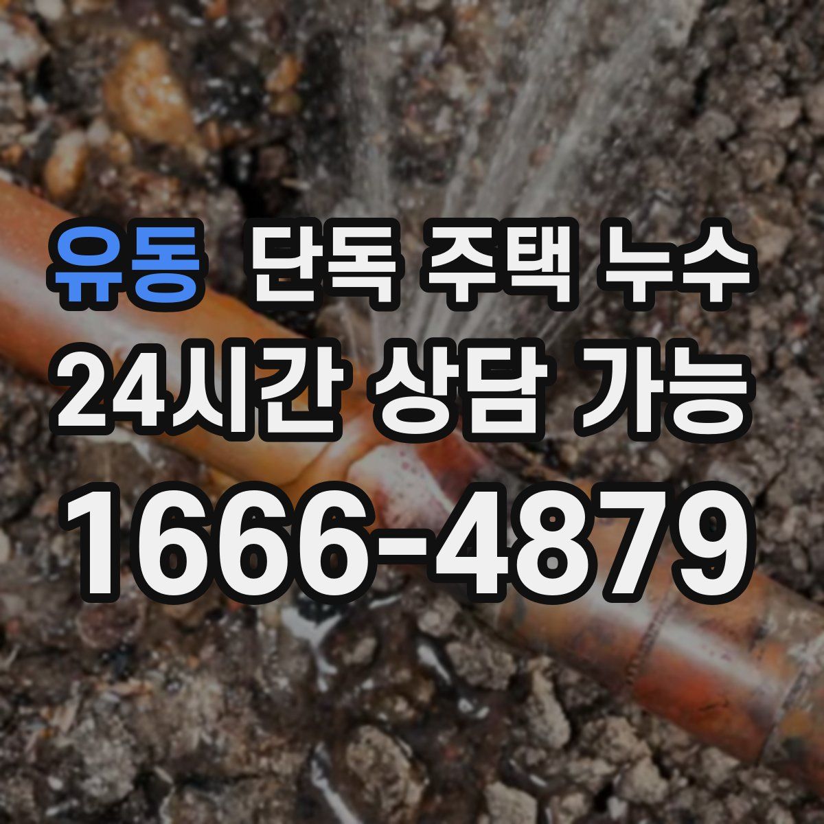 유동 단독 주택 누수