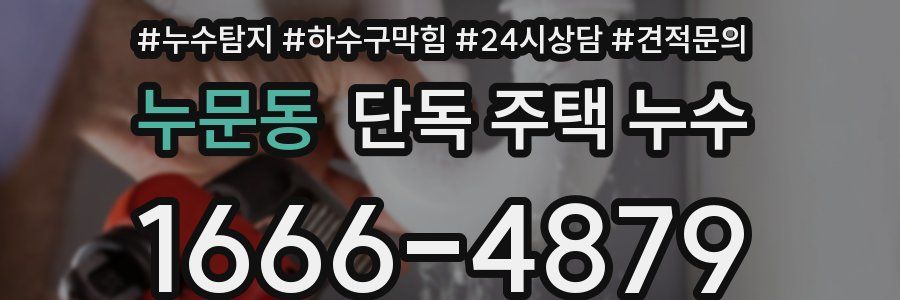 누문동 단독 주택 누수