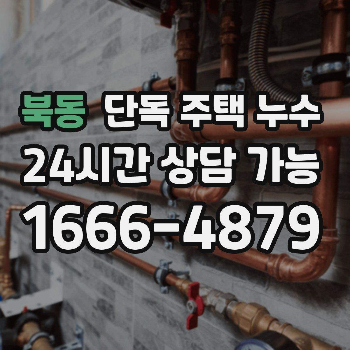 북동 단독 주택 누수